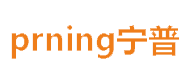 南京寧普信息技術(shù)有限公司